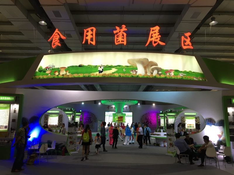 游艇会·yth206(中国)最新官方网站